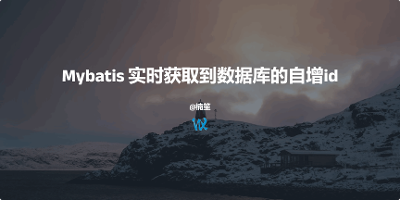 Mybatis 实时获取到数据库的自增id